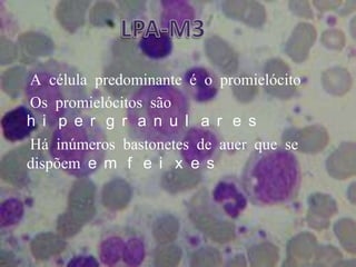 LPA-M3●A célula predominante é o promielócito  ●Os promielócitos são hipergranulares●Há inúmeros bastonetes de auer que se dispõem em feixes