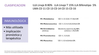 CLASIFICACION
INMUNOLÓGICA
• Más utilizada
• Implicación
pronóstica y
terapéutica
LLA Linaje B 80% LLA Linaje T 15% LLA Bifenotipo 5%
LMA CD 11 CD 13 CD 14 CD 15 CD 33
Elisa Dorantes Acosta, Aurora Medina, Karla Davila, briceida Lopez. Clasificación inmunológica de las leucemias agudas linfoblásticas del Hospital Infantil de México Federico Gómez, de acuerdo al EGIL (European
Group for the Immunological Classification of Leukemia) . Gaceta Mexicana de Oncologia . 2013; 12 (3) :136-142
 