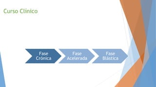 Curso Clínico
Fase
Crónica
Fase
Acelerada
Fase
Blástica
 