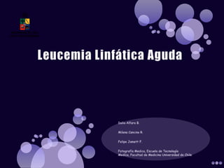 Leucemia Linfática Aguda Dalia Alfaro B. Milena Cancino R. Felipe Jamett F. Fotografía Medica, Escuela de Tecnología Medica, Facultad de Medicina Universidad de Chile 