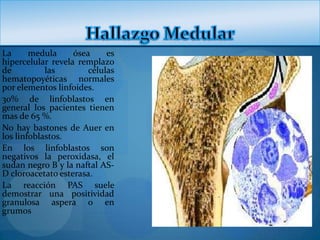 La      medula     ósea     es
hipercelular revela remplazo
de          las        células
hematopoyéticas normales
por elementos linfoides.
30% de linfoblastos en
general los pacientes tienen
mas de 65 %.
No hay bastones de Auer en
los linfoblastos.
En los linfoblastos son
negativos la peroxidasa, el
sudan negro B y la naftal AS-
D cloroacetato esterasa.
La reacción PAS suele
demostrar una positividad
granulosa aspera o en
grumos
 