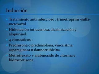 Inducción
 Tratamiento anti infeccioso : trimetroprim -sulfa-
    metoxazol.
   Hidratación intravenosa, alcalinización y
    alopurinol.
   4 citostaticos :
   Prednisona o prednisolona, vincristina,
    asparaginasa u daunorrubicina
   Metrotrexato + arabinosido de citosina e
    hidrocortisona
 