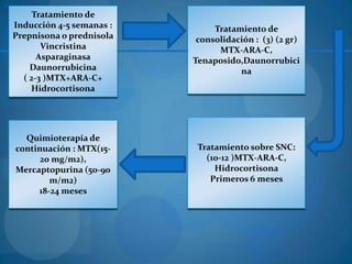 Tratamiento de
Inducción 4-5 semanas :        Tratamiento de
Prepnisona o prednisola    consolidación : (3) (2 gr)
       Vincristina              MTX-ARA-C,
      Asparaginasa        Tenaposido,Daunorrubici
    Daunorrubicina                   na
  ( 2-3 )MTX+ARA-C+
    Hidrocortisona




  Quimioterapia de
continuación : MTX(15-     Tratamiento sobre SNC:
      20 mg/m2),             (10-12 )MTX-ARA-C,
Mercaptopurina (50-90          Hidrocortisona
        m/m2)                 Primeros 6 meses
     18-24 meses
 