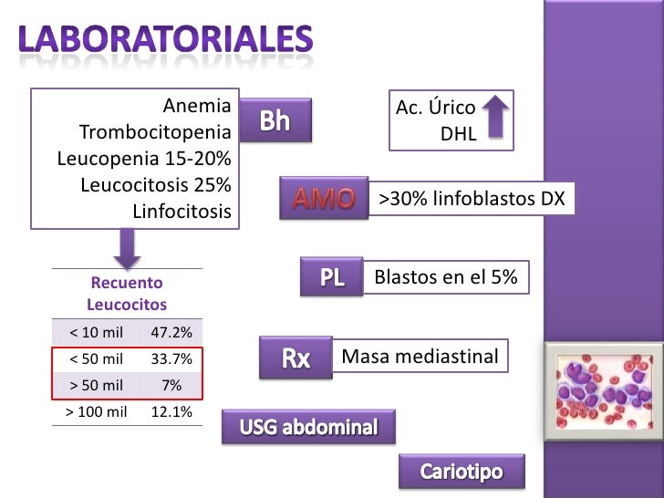 Leucemia LinfobláStica Aguda