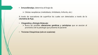 • Inmunofenotipo, determina el linaje de: 
 Células neoplásicas (mieloblasto, linfoblasto, linfocito, etc.) 
A través de marcadores de superficie los cuales son detectados a través de la 
citometria de flujo. 
• Citogenética y Biología Molecular: 
 Busca las posibles alteraciones genéticas y cariotipicas que se asocian al 
pronóstico de la patología que presenta el paciente 
• Tinciones Citoquímicas (solo en ocasiones) 
 