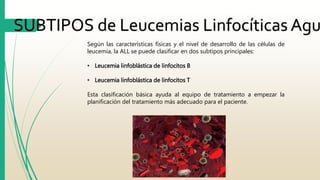 SUBTIPOS de Leucemias Linfocíticas Agudas 
Según las características físicas y el nivel de desarrollo de las células de 
leucemia, la ALL se puede clasificar en dos subtipos principales: 
• Leucemia linfoblástica de linfocitos B 
• Leucemia linfoblástica de linfocitos T 
Esta clasificación básica ayuda al equipo de tratamiento a empezar la 
planificación del tratamiento más adecuado para el paciente. 
 