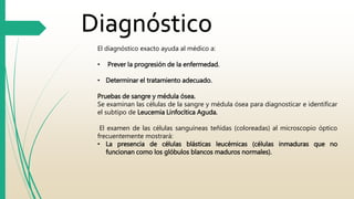 Diagnóstico 
El diagnóstico exacto ayuda al médico a: 
• Prever la progresión de la enfermedad. 
• Determinar el tratamiento adecuado. 
Pruebas de sangre y médula ósea. 
Se examinan las células de la sangre y médula ósea para diagnosticar e identificar 
el subtipo de Leucemia Linfocítica Aguda. 
El examen de las células sanguíneas teñidas (coloreadas) al microscopio óptico 
frecuentemente mostrará: 
• La presencia de células blásticas leucémicas (células inmaduras que no 
funcionan como los glóbulos blancos maduros normales). 
 