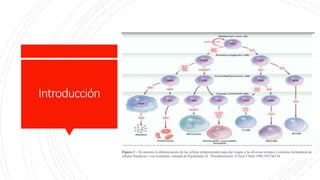 Introducción
 