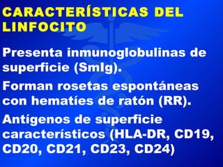 CARACTERÍSTICAS DEL
LINFOCITO

Presenta inmunoglobulinas de
superficie (SmIg).
Forman rosetas espontáneas
con hematíes de ratón (RR).
Antígenos de superficie
característicos (HLA-DR, CD19,
CD20, CD21, CD23, CD24)
 