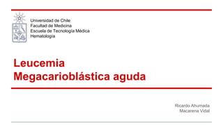 Leucemia 
Megacarioblástica aguda 
Ricardo Ahumada 
Macarena Vidal 
Universidad de Chile 
Facultad de Medicina 
Escuela de Tecnología Médica 
Hematología 
 