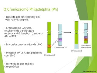 O Cromossomo Philadelphia (Ph)
• Descrito por Janet Rowley em
1960, na Philadelphia.
• Cromossomo 22 curto,
resultante da translocação
recíproca t(9:22) (q34;q11) entre c-
ABL e BCR
• Marcador característico da LMC
• Presente em 95% dos pacientes
com LMC
• Identificado por análises
citogenéticas
Larissa Mendes
 