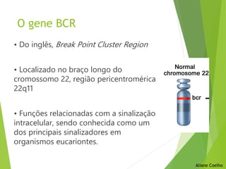 O gene BCR
• Do inglês, Break Point Cluster Region
• Localizado no braço longo do
cromossomo 22, região pericentromérica
22q11
• Funções relacionadas com a sinalização
intracelular, sendo conhecida como um
dos principais sinalizadores em
organismos eucariontes.
Aliane Coelho
 