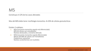 M5
Constituye el 12% de los casos afectados
Mas del 80% debe tener morfología monocitica & 20% de células granulociticas
Existen 2 subtipos:
1. M5a (Leucemia monocitica aguda mal diferenciada)
80% de células son monoblastos
Núcleos destacados, cromatina delicada
2. M5b (Leucemia monocitica aguda diferenciada)
Menos del 80% de células son monoblastos
Predominan monocitos
Núcleos cerebriformes con nucléolos
LEUKEMIA & LYMPHOMA SOCIETY ®; 2014
 