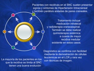Pacientes con recidivas en el SNC suelen presentar
                           signos y síntomas de Hipertensión Intracraneal
                          y también parálisis aisladas de pares craneales.


                                                Tratamiento incluye
                                               medicación intratecal
                                      y radioterapia craneoespinal.
                                          También se debe realizar
                                            quimioterapia sistémica
                                                  a cuasia de mayor
                                                   recidiva medular
                                          existente en estos casos.


                                    Diagnóstico se confirma con facilidad
                                    mediante la demostración de células
                                    leucémicas en el LCR y rara vez
La mayoría de los pacientes en los con técnicas de imagen.
   que la recidiva se limita al SNC
     tienen una buena evolución
 