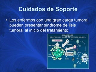 Cuidados de Soporte
• Los enfermos con una gran carga tumoral
  pueden presentar síndrome de lisis
  tumoral al inicio del tratamiento.
 