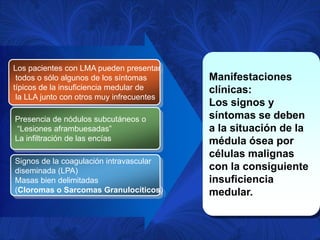 Los pacientes con LMA pueden presentar
 todos o sólo algunos de los síntomas      Manifestaciones
típicos de la insuficiencia medular de     clínicas:
 la LLA junto con otros muy infrecuentes
                                           Los signos y
Presencia de nódulos subcutáneos o         síntomas se deben
“Lesiones aframbuesadas”                   a la situación de la
La infiltración de las encías              médula ósea por
                                           células malignas
Signos de la coagulación intravascular
diseminada (LPA)                           con la consiguiente
Masas bien delimitadas                     insuficiencia
(Cloromas o Sarcomas Granulocíticos)       medular.
 
