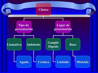 Clínica
Tipo de
presentación
Lugar de
presentación
Llamativa Indolente
Ganglio
Hígado
Bazo
Aguda Crónica Linfoide Mieloide
 