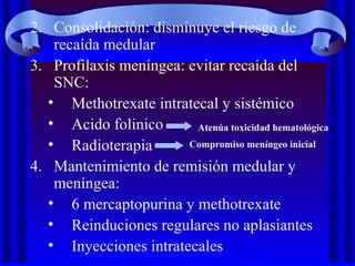 2. Consolidación: disminuye el riesgo de
recaída medular
3. Profilaxis meníngea: evitar recaída del
SNC:
• Methotrexate intratecal y sistémico
• Acido folinico
• Radioterapia
4. Mantenimiento de remisión medular y
meníngea:
• 6 mercaptopurina y methotrexate
• Reinduciones regulares no aplasiantes
• Inyecciones intratecales
Atenúa toxicidad hematológica
Compromiso meníngeo inicial
 