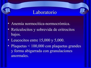 Laboratorio
• Anemia normocítica-normocrómica.
• Reticulocitos y sobrevida de eritrocitos
bajos.
• Leucocitos entre 15,000 y 5,000.
• Plaquetas < 100,000 con plaquetas grandes
y forma abigarrada con granulaciones
anormales.
 