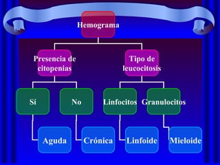 Hemograma
Presencia de
citopenias
Tipo de
leucocitosis
Sí No Linfocitos Granulocitos
Aguda Crónica Linfoide Mieloide
 