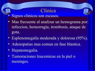 Clinica
• Signos clinicos son escasos.
• Mas frecuente al analizar un hemograma por:
infeccion, hemorragia, trombosis, ataque de
gota.
• Esplenomegalia moderada y dolorosa (95%).
• Adenopatias mas comun en fase blastica.
• Hepatomegalia.
• Tumoraciones leucemicas en la piel o
meninges.
 