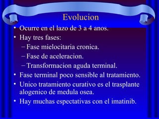 Evolucion
• Ocurre en el lazo de 3 a 4 anos.
• Hay tres fases:
– Fase mielocitaria cronica.
– Fase de aceleracion.
– Transformacion aguda terminal.
• Fase terminal poco sensible al tratamiento.
• Unico tratamiento curativo es el trasplante
alogenico de medula osea.
• Hay muchas espectativas con el imatinib.
 