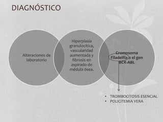 DIAGNÓSTICO
Alteraciones de
laboratorio
Hiperplasia
granulocítica,
vascularidad
aumentada y
fibrosis en
aspirado de
médula ósea.
Cromosoma
Filadelfia o el gen
BCR-ABL
• TROMBOCITOSIS ESENCIAL
• POLICITEMIA VERA
 
