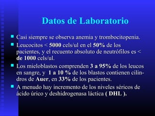 Datos de Laboratorio
 Casi siempre se observa anemia y trombocitopenia.Casi siempre se observa anemia y trombocitopenia.
 Leucocitos <Leucocitos < 50005000 cels/ul en elcels/ul en el 50%50% de losde los
pacientes, y el recuento absoluto de neutrófilos es <pacientes, y el recuento absoluto de neutrófilos es <
de 1000de 1000 cels/ul.cels/ul.
 Los mieloblastos comprendenLos mieloblastos comprenden 3 a 95%3 a 95% de los leucosde los leucos
en sangre, yen sangre, y 1 a 10 %1 a 10 % de los blastos contienen cilin-de los blastos contienen cilin-
dros dedros de AuerAuer, en, en 33%33% de los pacientes.de los pacientes.
 A menudo hay incremento de los niveles séricos deA menudo hay incremento de los niveles séricos de
ácido úrico y deshidrogenasa lácticaácido úrico y deshidrogenasa láctica (( DHL ).DHL ).
 