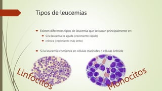 Tipos de leucemias
 Existen diferentes tipos de leucemia que se basan principalmente en:
 Si la leucemia es aguda (crecimiento rápido)
 crónica (crecimiento más lento)
 Si la leucemia comienza en células mieloides o células linfoide
 