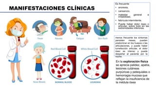 MANIFESTACIONES CLÍNICAS
Es frecuente
• anorexia,
• cansancio,
• malestar general e
irritabilidad,
• febrícula intermitente.
• Puede haber dolor óseo o
articular, sobre todo en las
extremidades inferiores.
menos frecuente los síntomas
persisten meses, pueden
predominar en los huesos o las
articulaciones, y puede haber
tumefacción articular, el dolor
óseo es intenso y puede
despertar al paciente por la
noche.
En la exploración física
se aprecia palidez, apatía,
lesiones cutáneas
purpúricas y petequiales o
hemorragia mucosa que
reflejan la insuficiencia de
la médula ósea
 