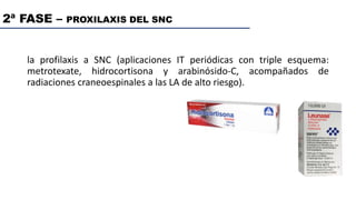 2ª FASE – PROXILAXIS DEL SNC
la profilaxis a SNC (aplicaciones IT periódicas con triple esquema:
metrotexate, hidrocortisona y arabinósido-C, acompañados de
radiaciones craneoespinales a las LA de alto riesgo).
 
