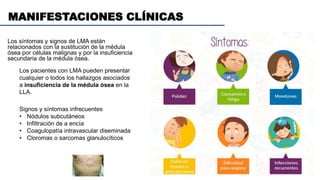 MANIFESTACIONES CLÍNICAS
Los síntomas y signos de LMA están
relacionados con la sustitución de la médula
ósea por células malignas y por la insuficiencia
secundaria de la médula ósea.
Los pacientes con LMA pueden presentar
cualquier o todos los hallazgos asociados
a insuficiencia de la médula ósea en la
LLA.
Signos y síntomas infrecuentes
• Nódulos subcutáneos
• Infiltración de a encía
• Coagulopatía intravascular diseminada
• Cloromas o sarcomas glanulocíticos
 