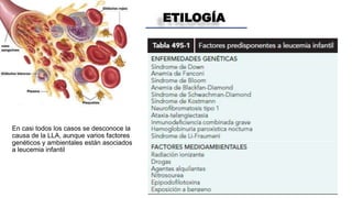 ETILOGÍA
En casi todos los casos se desconoce la
causa de la LLA, aunque varios factores
genéticos y ambientales están asociados
a leucemia infantil
 