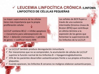  LEUCEMIA LINFOCÍTICA CRÓNICA /LINFOMA
LINFOCÍTICO DE CÉLULAS PEQUEÑAS
 La LLC/LLP también produce desregulación inmunitaria
 Por mecanismos que no se comprenden, la acumulación de células de LLC/LLP
suprime la función normal de los linfocitos B -> hipogammnglobulinemia.
 15% de los pacientes desarrollan autoanticuerpos frente a sus propios eritrocitos o
plaquetas.
 Cuando aparecen, los linfocitos B cercanos no malignos elaboran autoanticuerpos.
Las señales de BCR fluyen a
través de una sustancia
intermedia (tirosina cinasa de
Bruton (BTK)) que contribuye
en último término a la
expresión de los genes que
fomentan la supervivencia de
los linfocitos de la LLC/LLP.
La mayor supervivencia de las células
tiene más importancia que la propia
proliferación celular.
LLC/LLP contiene BCL2 -> inhibe apoptosis
-> mecanismo para sobreexpresión de
BCL2 -> deleción cromosómica -> pérdida
de genes -> codifican micro-ARN
 
