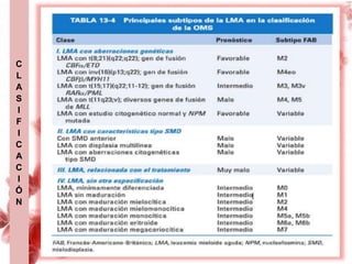 C
L
A
S
I
F
I
C
A
C
I
Ó
N
 