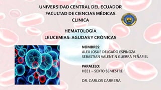 UNIVERSIDAD CENTRAL DEL ECUADOR
FACULTAD DE CIENCIAS MÉDICAS
CLINICA
HEMATOLOGÍA
LEUCEMIAS: AGUDASY CRÓNICAS
NOMBRES:
ALEX JOSUE DELGADO ESPINOZA
SEBASTIAN VALENTIN GUERRA PEÑAFIEL
PARALELO:
HEE1 – SEXTO SEMESTRE
DR. CARLOS CARRERA
 