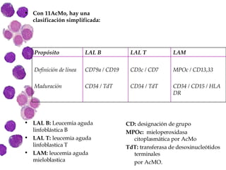 Con 11AcMo, hay una clasificación simplificada: LAL B:  Leucemia aguda linfoblástica B LAL T:  leucemia aguda linfoblastica T LAM:  leucemia aguda mieloblastica CD:  designación de grupo MPOc:  mieloperoxidasa citoplasmática por AcMo TdT:  transferasa de desoxinucleótidos terminales por AcMO. MPOc / CD13,33 CD34 / CD15 / HLA DR LAM CD3c / CD7 CD34 / TdT LAL T CD79a / CD19 CD34 / TdT LAL B Definición de línea Maduración  Propósito 