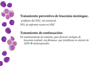 Tratamiento preventivo de leucemia meníngea:. profilaxis del SNC, vía intratecal.  50% de enfermos recaen en SNC Tratamiento de continuación:  De mantenimiento de remisión, para destruir vestigios de leucemia residual, con fármacos  que interfieran en síntesis de ADN   mielosupresión. 