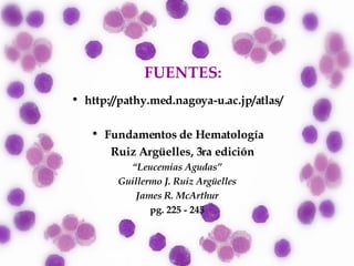 FUENTES: http://pathy.med.nagoya-u.ac.jp/atlas/ Fundamentos de Hematología Ruiz Argüelles, 3ra edición  “ Leucemias Agudas” Guillermo J. Ruiz Argüelles James R. McArthur pg. 225 - 245 