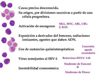 Causa precisa desconocida. Su origen, por divisiones sucesivas a partir de una célula progenitora. Activación de oncogenes Exposición a derivados del benceno, radiaciones ionizantes, agentes que dañen ADN. Uso de sustancias quimioterapéuticas Virus semejantes al HIV-1 Inestabilidad cromosómica MLL, MYC, ABL, CBL-2, RAS Leucemia aguda secundaria Retrovirus HTLV- I-II Síndrome de Fanconi   Síndrome de Down 