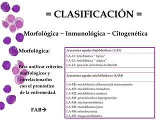= CLASIFICACIÓN =  Morfológica ~ Inmunológica ~ Citogenética Morfológica: Para unificar criterios morfológicos y correlacionarlos con el pronóstico de la enfermedad. FAB    Leucemias agudas mieloblásticas (LAM) LA-M0: mieloblástica diferenciada mínimamente LA-M1: mieloblástica inmadura LA-M2: mieloblástica madura LA-M3: promielocítica hipergranular LA-M4: mielomonoblástica LA-M5: monoblástica pura LA-M6: eritroleucemia LA-M7: megacarioblástica LA-L1: linfoblástica “ típica” LA-L2: linfoblástica “ atípica” LA-L3: parecida al linfoma de Burkitt Leucemias agudas linfoblásticas ( LAL) 