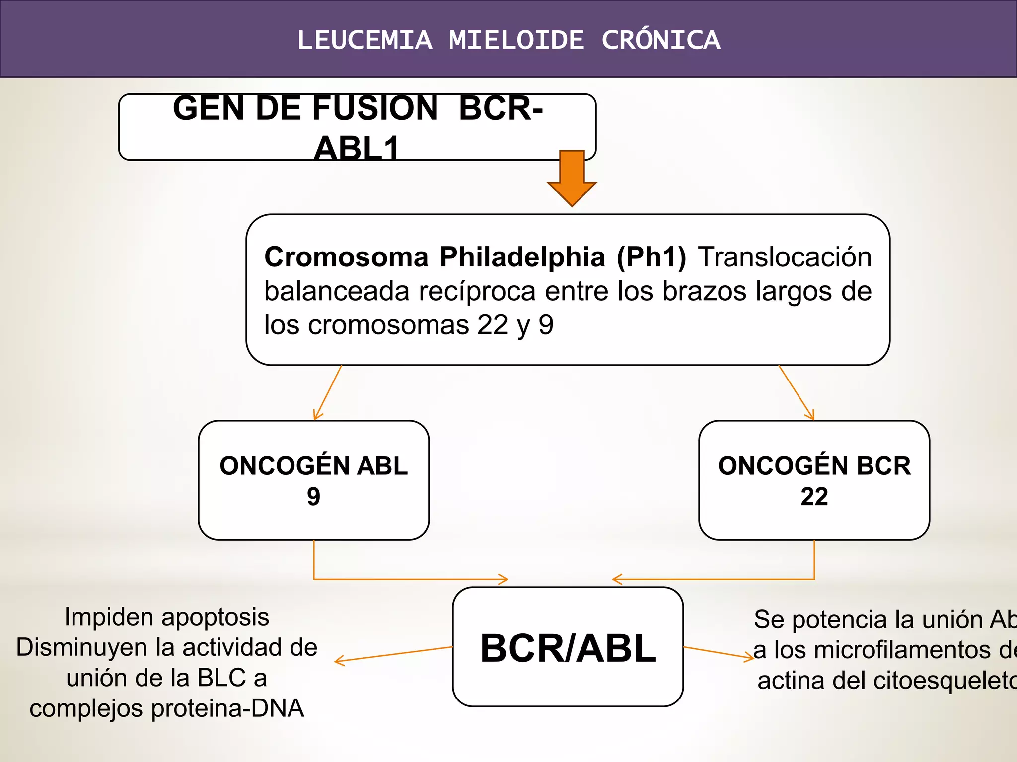 Leucemias | PPTX