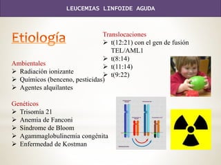 Ambientales
 Radiación ionizante
 Químicos (benceno, pesticidas)
 Agentes alquilantes
Genéticos
 Trisomía 21
 Anemia de Fanconi
 Síndrome de Bloom
 Agammaglobulinemia congénita
 Enfermedad de Kostman
Translocaciones
 t(12:21) con el gen de fusión
TEL/AML1
 t(8:14)
 t(11:14)
 t(9:22)
LEUCEMIAS LINFOIDE AGUDA
 