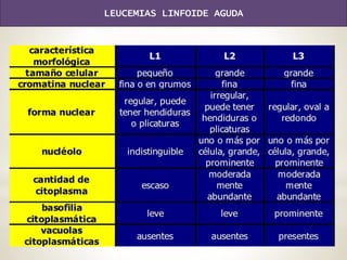 LEUCEMIAS LINFOIDE AGUDA
 