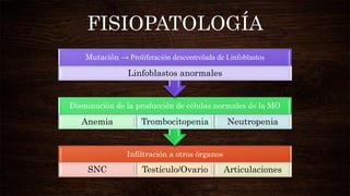 Infiltración a otros órganos
SNC Testículo/Ovario Articulaciones
Disminución de la producción de células normales de la MO
Anemia Trombocitopenia Neutropenia
Mutación → Proliferación descontrolada de Linfoblastos
Linfoblastos anormales
FISIOPATOLOGÍA
 
