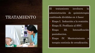 TRATAMIENTO
El tratamiento involucra la
administración de quimioterapia
combinada divididas en 4 fases:
 Etapa I. Inducción a la remisión.
 Etapa II. Profilaxis al SNC.
 Etapa III. Intensificación
posinduccion.
 Etapa IV. Mantenimiento o
terapia continúa de erradicación.
 