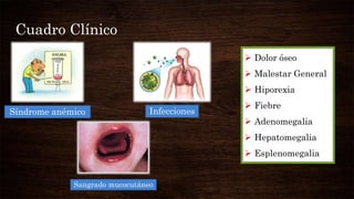 Cuadro Clínico
Síndrome anémico
Sangrado mucocutáneo
Infecciones
 Dolor óseo
 Malestar General
 Hiporexia
 Fiebre
 Adenomegalia
 Hepatomegalia
 Esplenomegalia
 