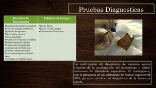 La confirmación del diagnóstico de leucemia aguda
requiere de la participación del hematólogo y varios
exámenes de laboratorio específicos. El mielograma,
con la presencia de un porcentaje de blastos superior al
20%, permite certificar el diagnóstico de la leucemia
aguda.
Estudios de
Laboratorio
Estudios de Imagen
Biometría hemática completa
Frotis de sangre periférica
Química Sanguínea
Electrolitos séricos
(Na,K,Ca,P,Mg)
Pruebas de Función Hepática
Deshidrogenasa Láctica
Pruebas de Coagulación
Aspirado de médula ósea
Líquido cefalorraquídeo
Inmunofenotipo en médula
ósea
Cariotipo en médula ósea.
Rx de Tórax
Rx de Huesos largos
Ultrasonido Testicular
Pruebas Diagnosticas
 