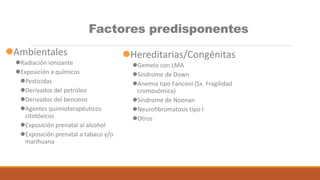 Factores predisponentes
Ambientales
Radiación ionizante
Exposición a químicos
Pesticidas
Derivados del petróleo
Derivados del benceno
Agentes quimioterapéuticos
citotóxicos
Exposición prenatal al alcohol
Exposición prenatal a tabaco y/o
marihuana
Hereditarias/Congénitas
Gemelo con LMA
Síndrome de Down
Anemia tipo Fanconi (Sx. Fragilidad
cromosómica)
Síndrome de Noonan
Neurofibromatosis tipo I
Otros
 