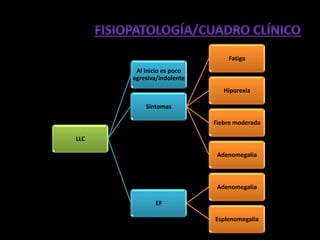 Fatiga
       Al inicio es poco
      agresiva/indolente
                              Hiporexia

          Síntomas

                           Fiebre moderada

LLC

                            Adenomegalia



                            Adenomegalia

             EF

                           Esplenomegalia
 